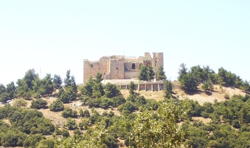 Thumbnail image for Pictures/CompanyProfileLargeImageGallery/23052012_023151Ajloun (2).jpg