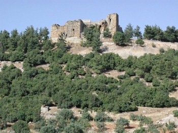 Thumbnail image for Pictures/CompanyProfileLargeImageGallery/23052012_023324Ajloun (9).jpg