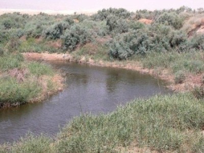 Thumbnail image for Pictures/CompanyProfileLargeImageGallery/24052012_125840Baptism site (7).jpg